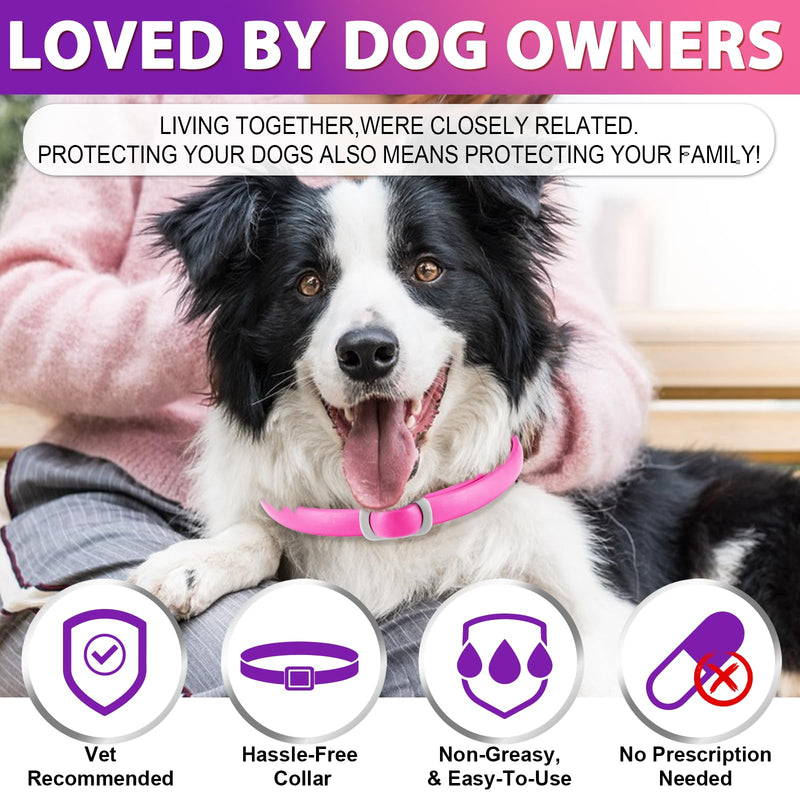 Tick Collar for Dogs Pack of 4, Flea Collar for Dogs, Adjustable and Waterproof, Safe and Natural, 60 cm Length, 24 Months Protection, for Small, Medium and Large Dogs (Pink & Purple) - BeesActive Australia