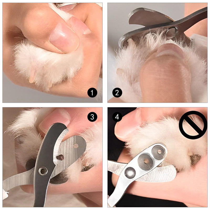 Pack of 6 cat nail scissors set, cat claw scissors with 2 mm and 4 mm holes with file, suitable for small pets such as cats, dogs, hamsters, etc. - BeesActive Australia