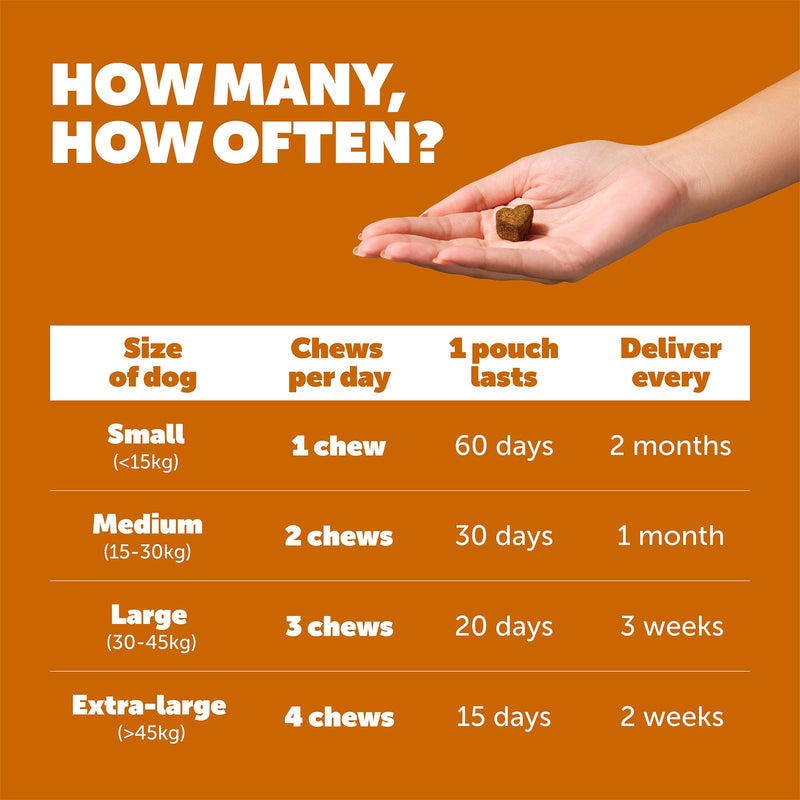 Protexin Daily Care Gut+ Wellbeing – Probiotic, Prebiotic & Postbiotic Chews for Dogs – Supports Gut Balance, Skin, Mobility & Immune Health – Duck & Carrot Flavour – 60 Soft Chews