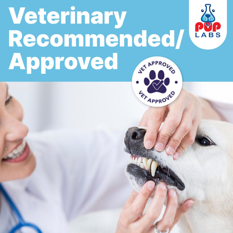 All-Natural and Expert-Formulated Dental Powder for Dogs, Dog Dental Supplement for Healthy Teeth and Against Leaky Gums for Dogs 12+ Weeks, Made in The USA with The Standards, 28 Serv - PawsPlanet Australia