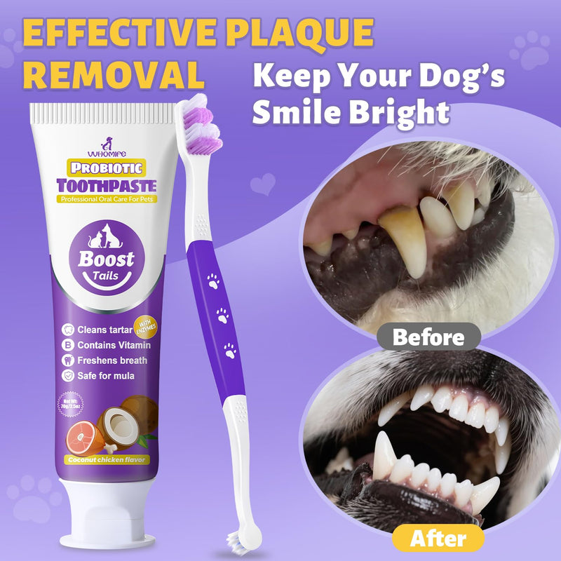 Dog Toothbrush Kit, 2.5oz Toothpaste, Dual-Head & Finger Brush | Gentle Dog Care. For Dogs Over 20 lb. Soft Brush Comfort. Coconut Chicken Flavor. Easy Daily Routine. 2.5 0unce(pack of 1)