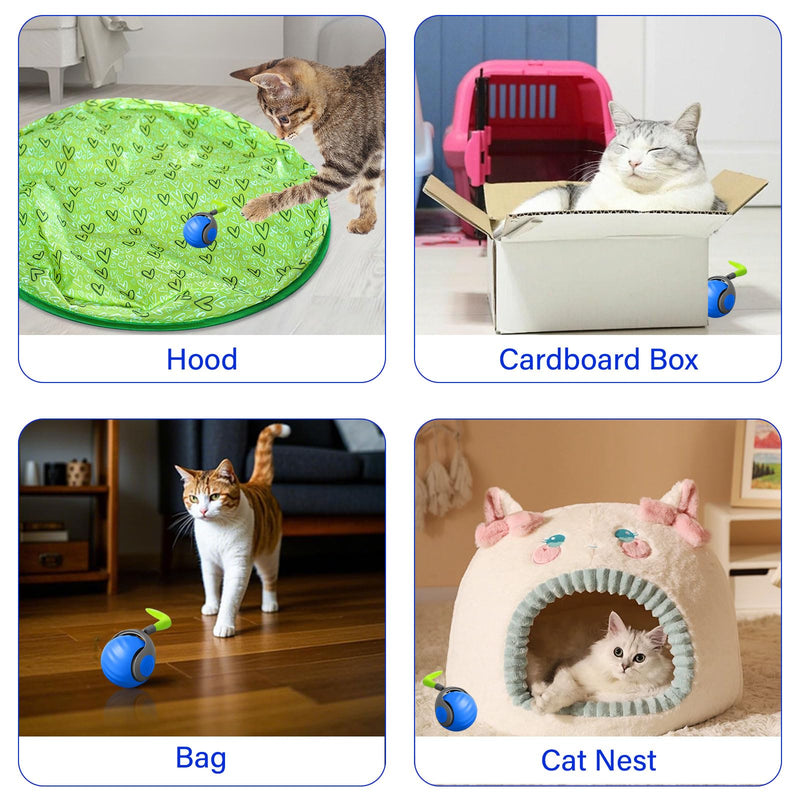 Interactive Cat Ball Toy with Feather, Speedy Tail 2.0 cat Toys, Smart Cat Toys Ball for Indoor Cats, Motion Activated Automatic Cat Toy Ball, USB Rechargeable Cat Toys, Blue - BeesActive Australia