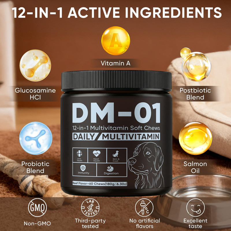 Daily Multivitamin for Dogs, Multivitamin Itch Relief Chews with Folic Acid, Salmon Oil, Probiotics & Vitamins, Skin and Coat Healthy, Gut Health & Boost Immunity, Beef Flavor, 60 Chew (1) 1