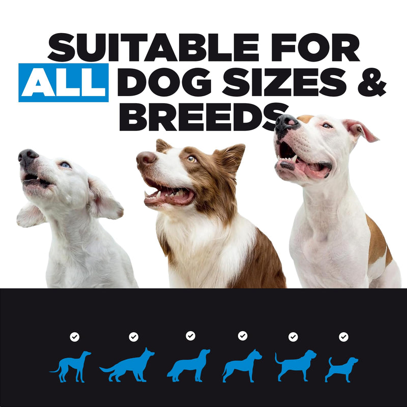 ProDog Perform Food Topper Powder for Working & Sporting Dogs | 58% Tri-Protein + Fish Collagen | Omega 3, 6, 9 & Ginseng for Strength, Stamina & Focus | 60 Servings 300 grams