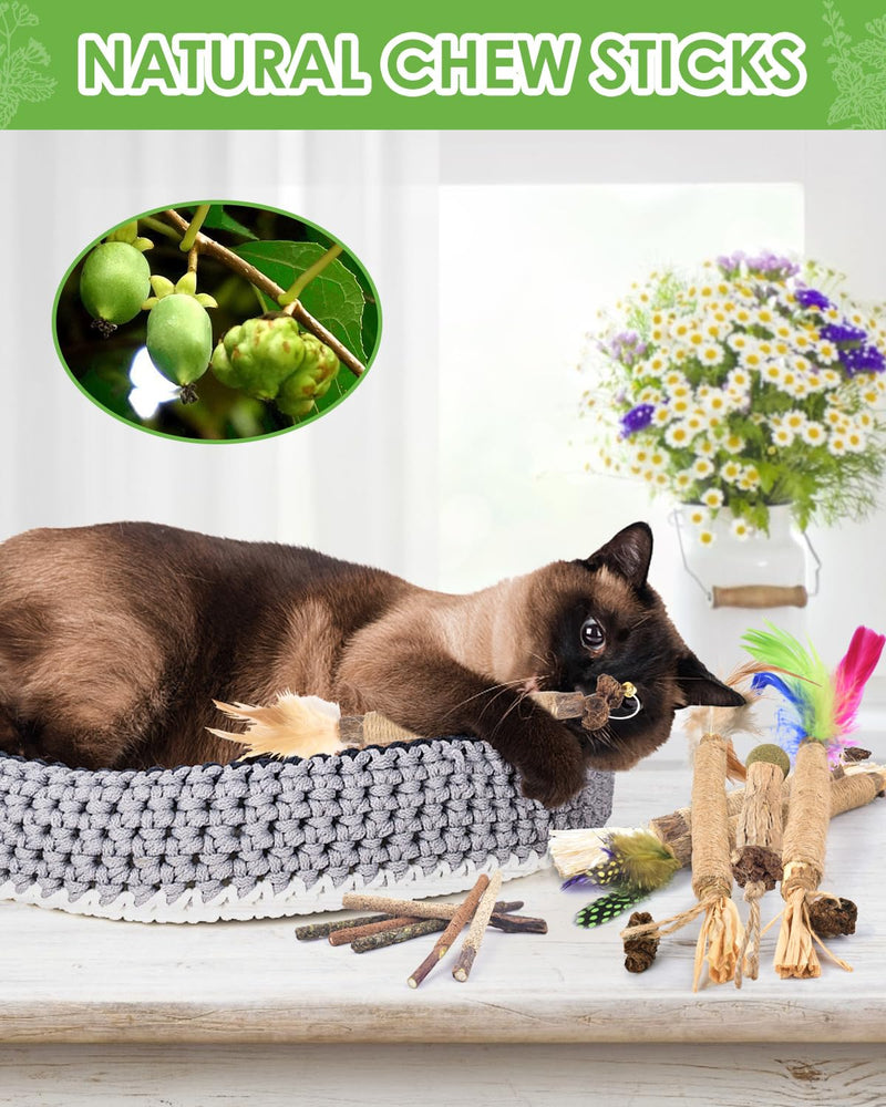 TINDTOP Silvervine Chew Sticks for Cats, 12 Pack Natural Catnip Chew Toys for Kittens Teeth Cleaning, Matatabi Dental Care, Increase Appetite, Calm Cat Anxiety and Stress, Cat Dental Toy - BeesActive Australia