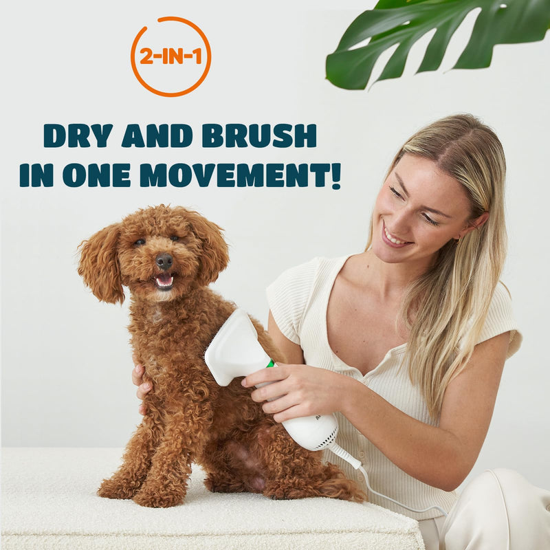 2-in-1 Dog Hair Dryer with Slicker Brush for Small-Sized Dogs and Cats | Pet Hair Dryer | Dog Blow Dryer | 300 Watts, 75-85 dB, Adjustable Temperature, Overheat Protection - BeesActive Australia