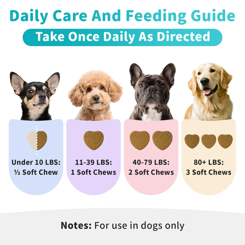 Dog Allergy Relief Soft Chews - Immune Supplement for Seasonal Allergies - Support Paw Licking & Itch Relief, Skin & Gut Health with Probiotics, Omega-3 - Beef Flavor, 90 Count