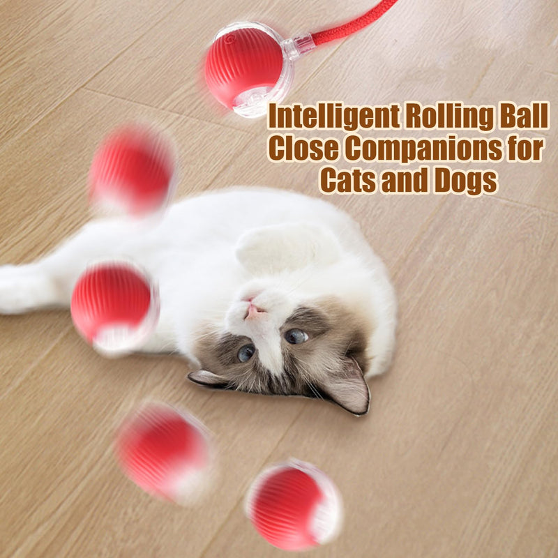 2PC Interactive Rolling Dog Ball,Interactive Dog Ball,Interactive Cat Ball Toy,Interactive Cat Dog Toys Ball Fast Rolling,360° Smart Automatic Rolling Pet Ball (Green) 2PC Green