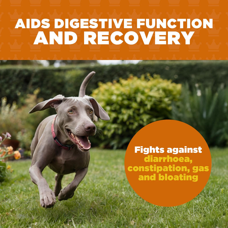 ProDog Digest Gut & Digestive Health with Prebiotics & Fibre Supplement (90 Gram) 90 Gram