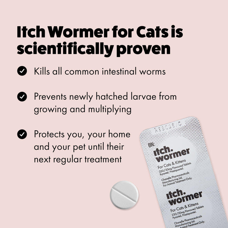 Itch Cat Wormer Tablets for Cats 1kg+ - 2 Tablet - Treats Roundworms & Tapeworms - Kills Worm Larvae 2 Wormer Tablets