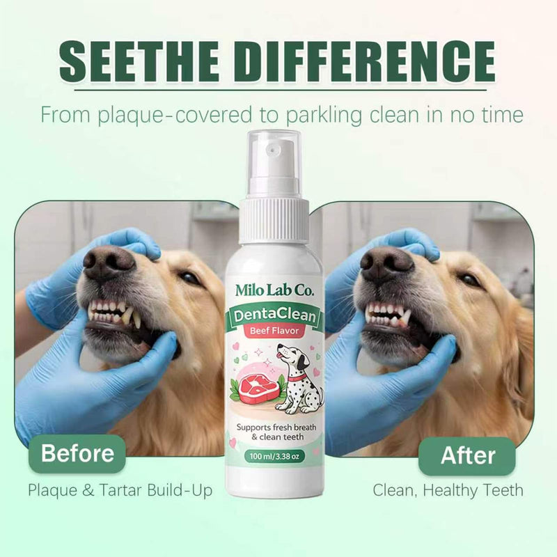 Advanced Dental Spray,Dentaclean Oral Care Pet Dental Spray, Tartar and Plaque Remover, Breath Freshener, Supports Healthy Gums and Clean Teeth, Safe and Ingestible Formula, 100 mL / 3.38 oz