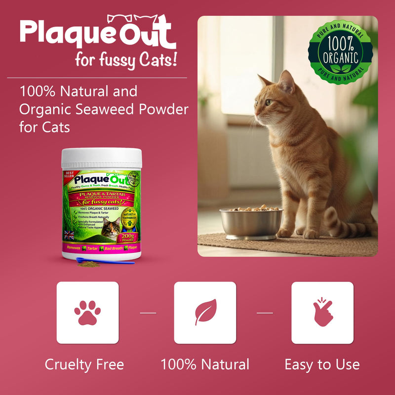 PLAQUE OUT for Fussy Cats 200g Pot - Plaque Off Remover - 100% Natural and Organic Seaweed Powder for Cats - Cat Teeth Cleaning, Cat Plaque Removal, Cat Dental Care, Bad Breath & Gum Care
