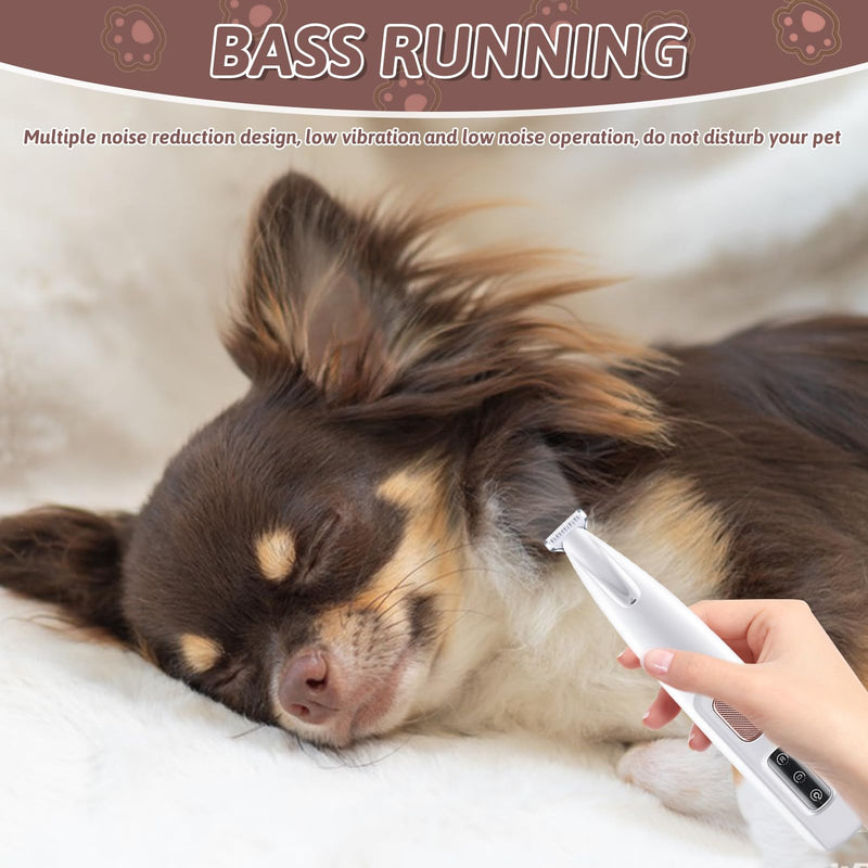 Skeadex Quiet Dog Clipper, Rechargeable Paw Trimmer for Dogs and Cats, Waterproof Professional Dog Trimmer with LED Light, for Thick Long Curly (White) White - BeesActive Australia