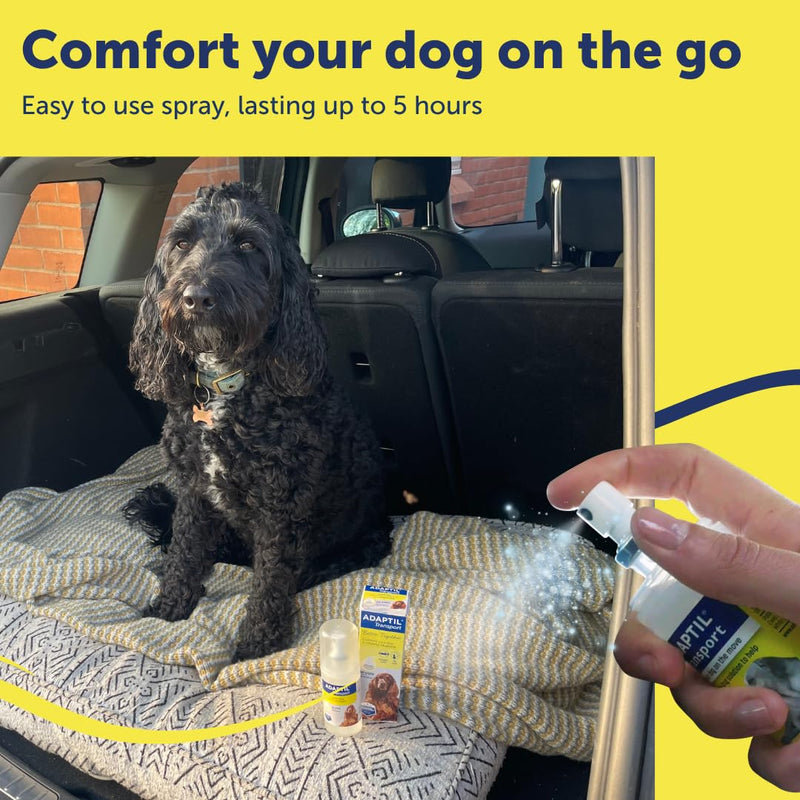 Adaptil Transport Spray For Dogs 60ml, Adaptil Dog Calming Spray Uses Pheromones To Help Reduce Anxiety And Stress In Pet Dogs, Pheromone Spray Helps Anxious Dogs Stay Calmer 60 ml (Pack of 1)