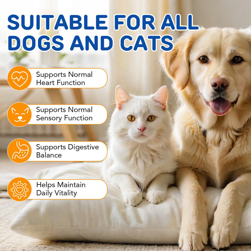 Taurine for Cats – 200g Daily Taurine Supplement for Cats, Cat Taurine Powder - Natural Amino Acid Pet Supplement to Help Muscle Tremors & Nerve Function