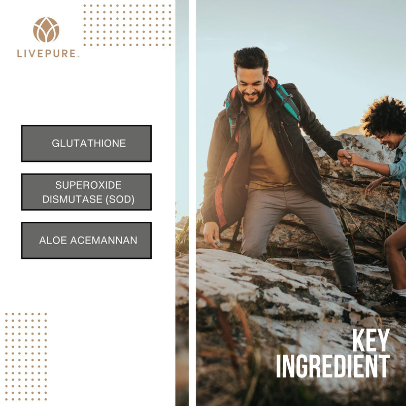 PURE PurXcel Antioxidant Supplement | 30 Capsules | Potent Antioxidant Blend with Glutathione & Superoxide Dismutase | Supports Skin, Joints & Natural Cleansing