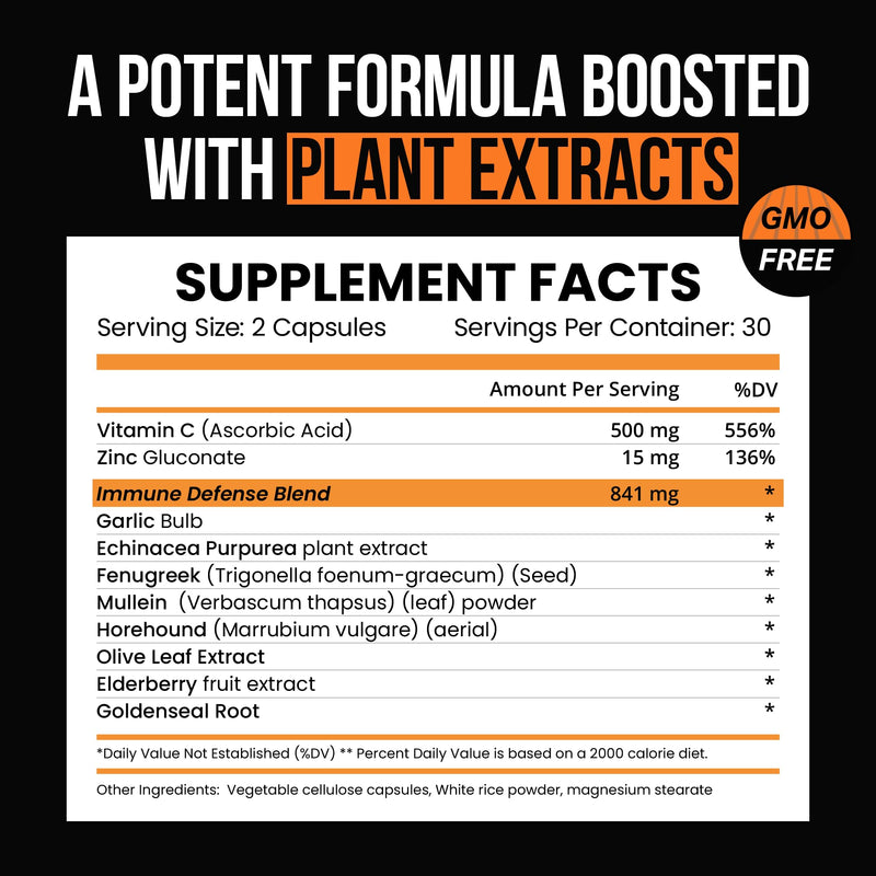 VitaRaw Immune Support Vitamins - Elderberry with Zinc, Vitamin C, and Garlic for Adults - Sambucus Black Elderberry Capsules & Echinacea Immunity Renewal Complex