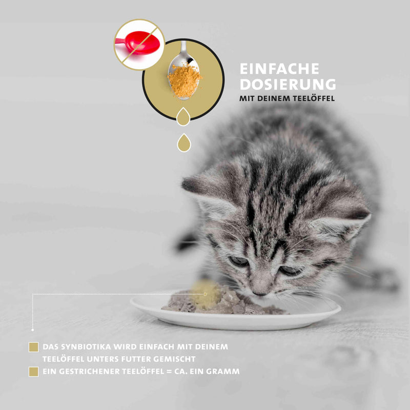 Peticare Cat Prebiotics & Probiotics | Strengthen the immune system, cleanse the intestines, build intestinal flora | relieves allergy susceptibility & itching | with innovative Corvitalis® complex - petCat Health 3501 100 g - BeesActive Australia