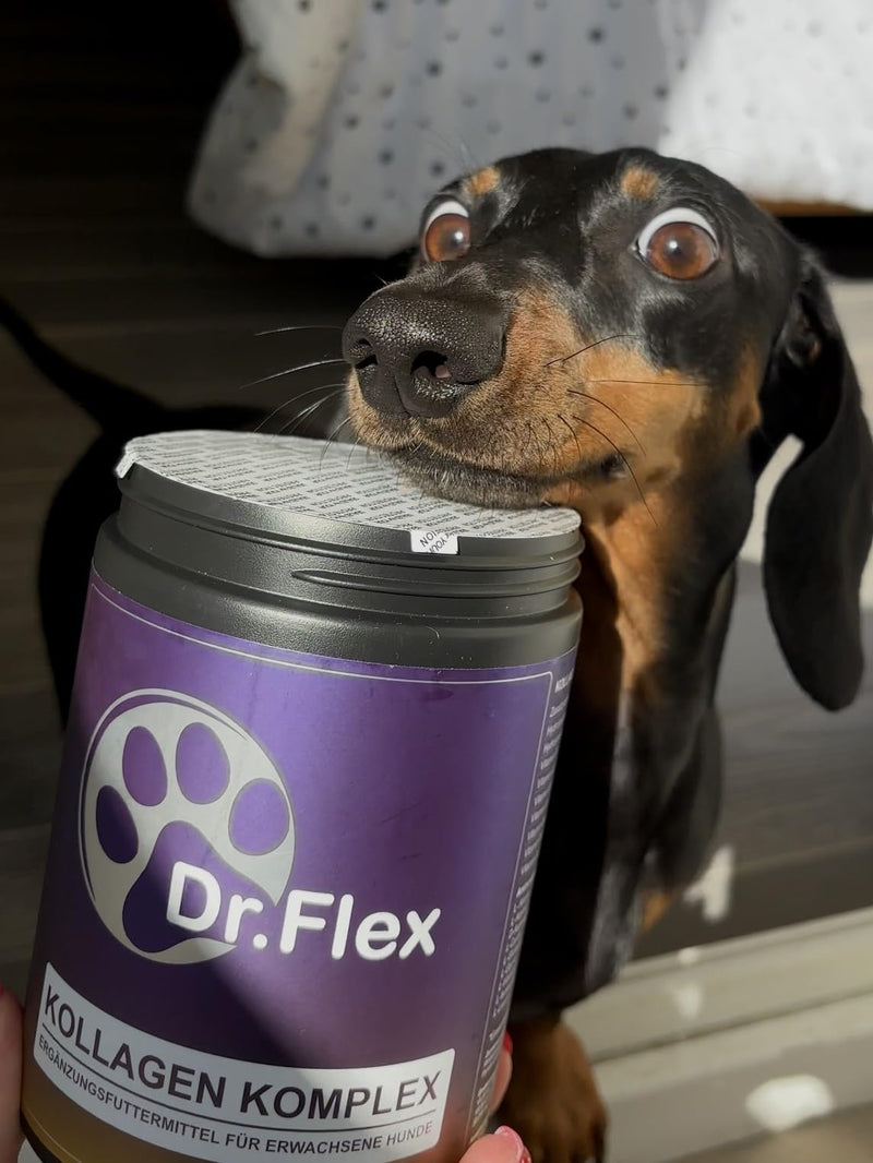 Dr. Flex Collagen Powder for Dogs | 300g Bovine & Marine Collagen | Joint & Mobility Support for All Dogs | High Strength Vitamin B Complex (B1 B2 B3 B5 B9 B12) | Aids Skin, Coat Health & Digestion Collagen Complex