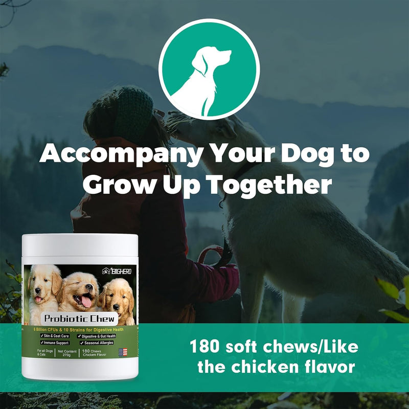BIGHERO Probiotics for Dogs - Dog Probiotics with Prebiotics and Digestive Enzymes, Support Gut Health, Digestive & Immune Health, Dog Supplement for Diarrhea & Seasonal Allergies-180 Chicken Flavor - BeesActive Australia