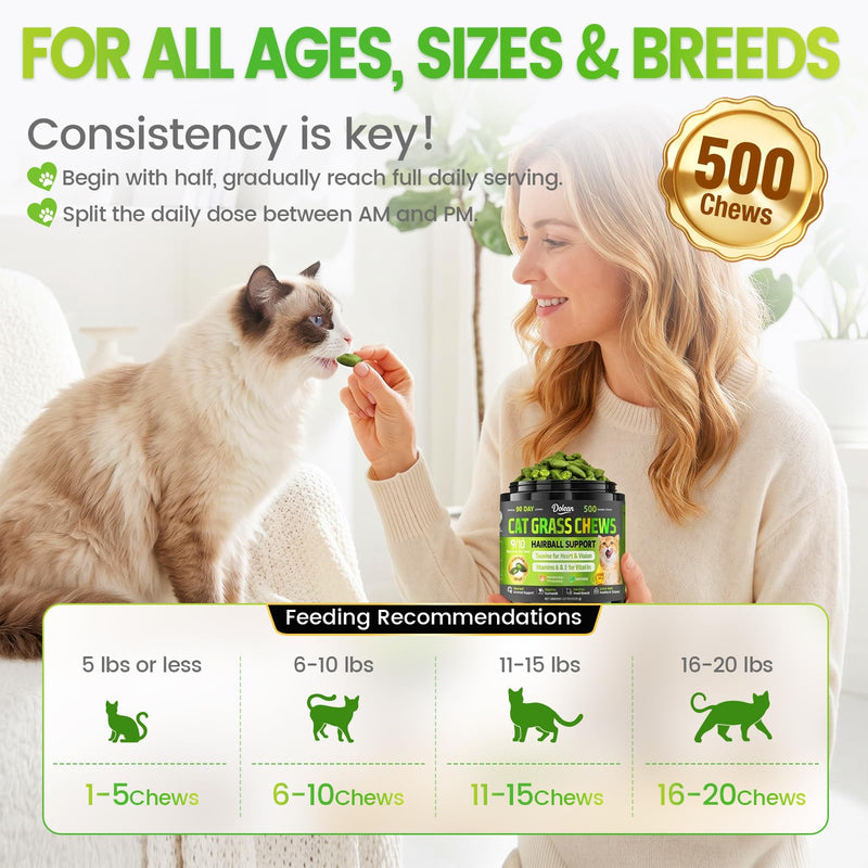 Cat Grass Treats, Hairball Treatment for Cats, Cat Grass for Indoor Cats, Fish Oil for Skin & Coat, Digestion, Taurine for Heart Vision, 500 Crunchy & Creamy Chews with Essential Vitamins of All Ages