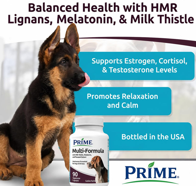 Prime HMR Lignans for Dogs - Multi-Formula Dog Vitamins for Medium Dogs - 20mg HMR Lignans, 2mg Melatonin, Milk Thistle - Helps Heart, Liver, Digestion Health, 90 Capsules