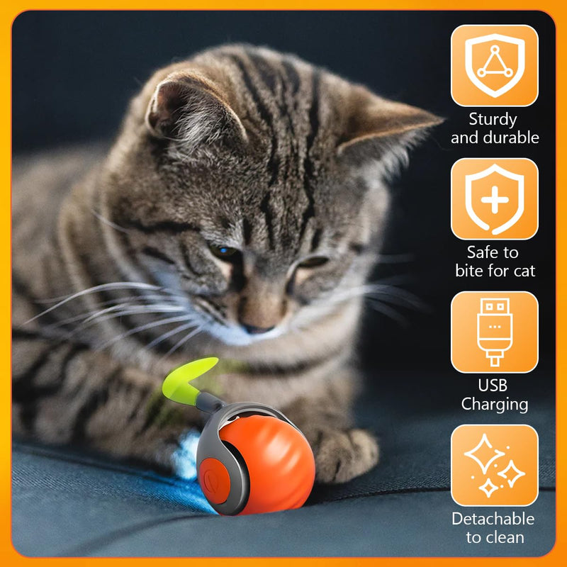 Speedy Tail 2.0,Speedy Tail Cat Toy,Smart Interactive Cat Toy Balls,Automatic Moving Balls for Cat Dog Touch Motion Rolling Cat Toy Ball,Self Rolling Smart Cat Toy Ball Interactive Cat Toys with Tail Orange - BeesActive Australia
