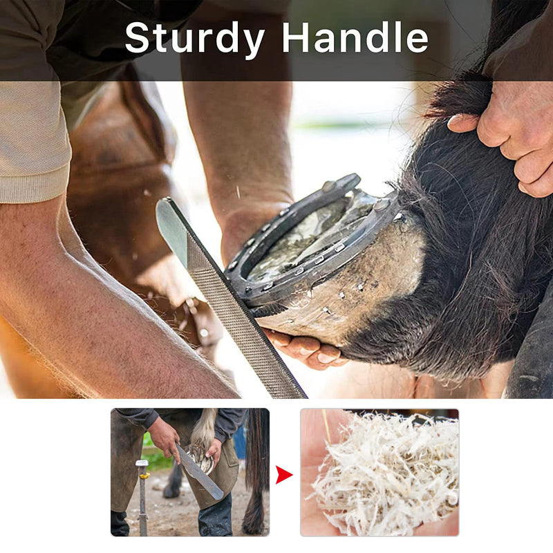Goat Hoof Trimmers with Mini Hoof Rasp File (8-inch) - Nail Clippers for Goat, Sheep, Alpaca, Lamb, Pig - Hoof Rasp File - Goat Nippers - Hoof Trimmers - Hoof Rasp File - BeesActive Australia