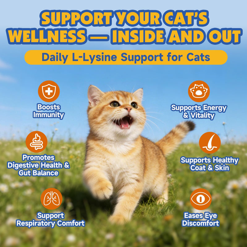 Mushroom Chews for Dogs & L-Lysine Paste for Cats
