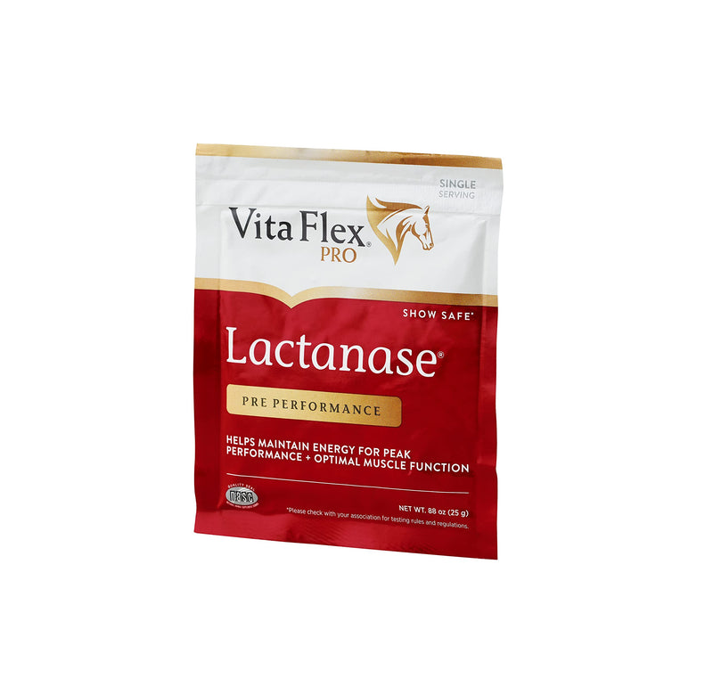 Pro Horse Lactanase Pre Performance Supplement, Show Safe, Single Serve Packet - BeesActive Australia