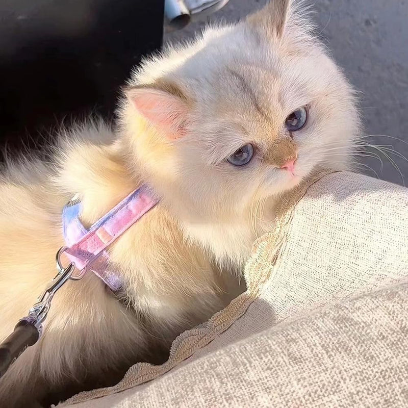 Cat Harness with Leash Escape-Proof Cat Harness Leash Adjustable Cat Leash with Harness for Small Medium Cats Outdoor Walking, Gradient Purple - BeesActive Australia