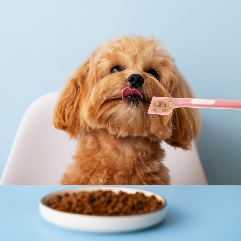 4 Pcs Pet Food Spoon Set, Pet Food Mixing Spoons Cat Wet Food Spoon Dog Food Scoop Cat Food Spoon Spatula Food Can Spoon for Dogs and Cats - BeesActive Australia