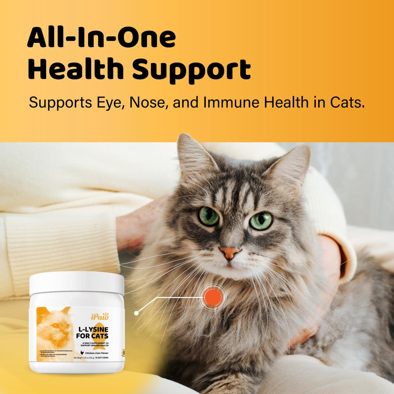 iPaw L-Lysine Chews for Cats, Daily Immune and Respiratory Support for Cats, Lysine Treats Supplement, Made in USA, Chicken Liver Flavor (70 Chews) 1 Jar