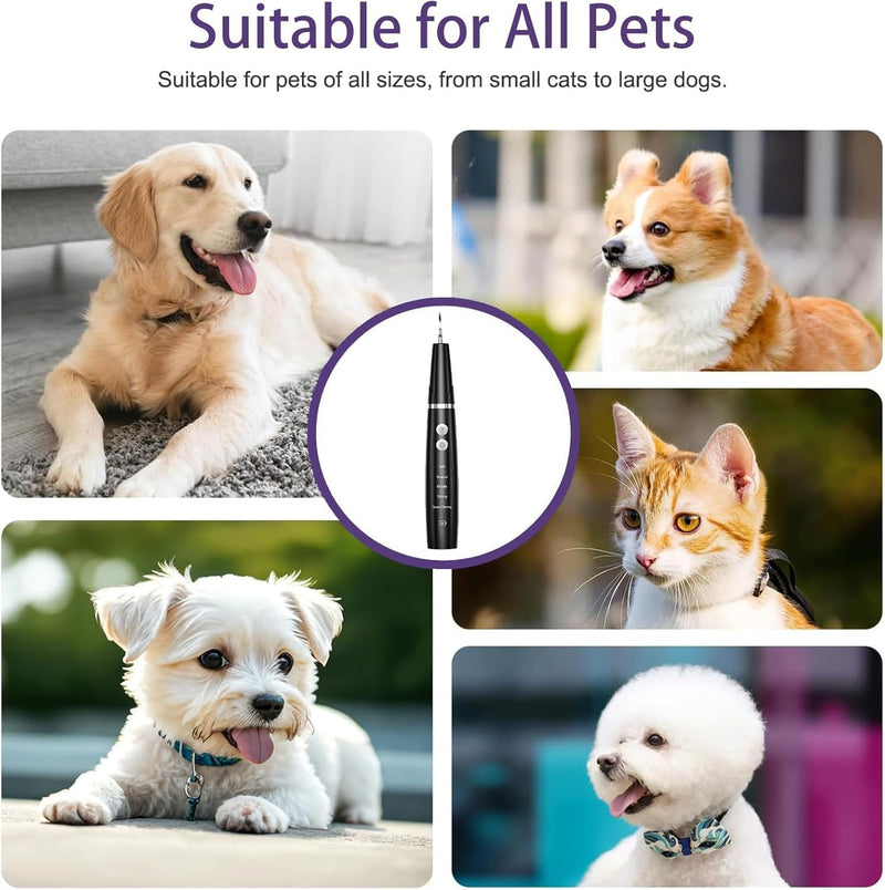 Dog Plaque Remover, Dog Teeth Cleaning Products for Tartar & Plaque Off, USB Rechargeable Dogs Teeth Cleaning for Dogs/Puppies - Includes Dental Scaler & Finger Toothbrush