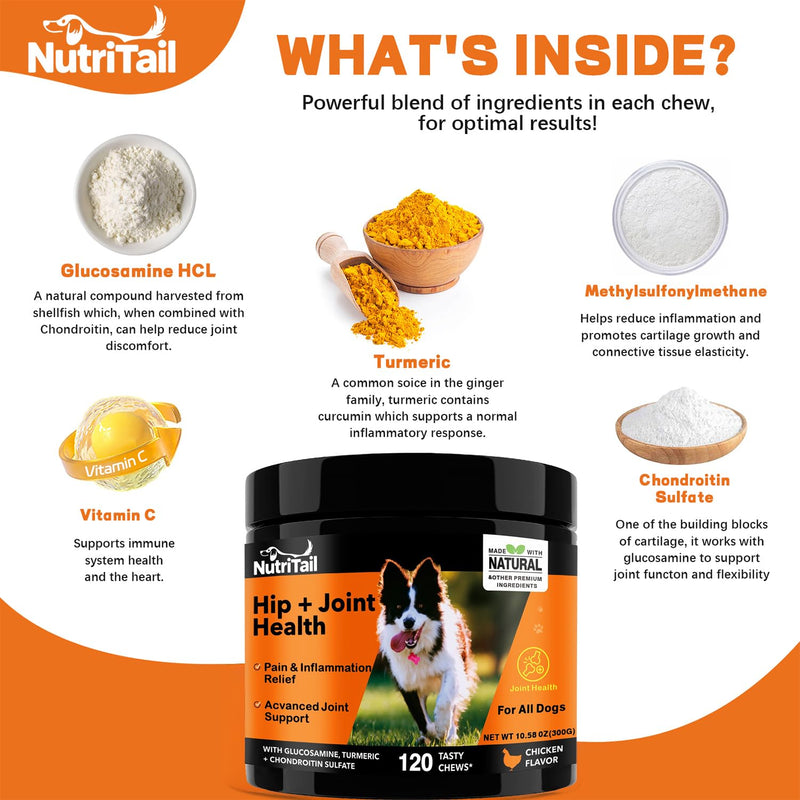 Hip & Joint Health Soft Chews for Dogs – Glucosamine, Turmeric, Omega-3 & Chondroitin – Natural Joint Supplement for Mobility, Pain & Inflammation Relief – Chicken Flavor, 120 Soft Chews