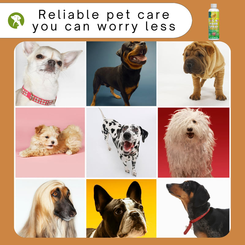 8oz Natural Pet Spray for Encouraging Good Bathroom Habits in Dogs - Not Here Dog Spray Training Spray to Stop Dogs from Marking 8.0 Fl Oz