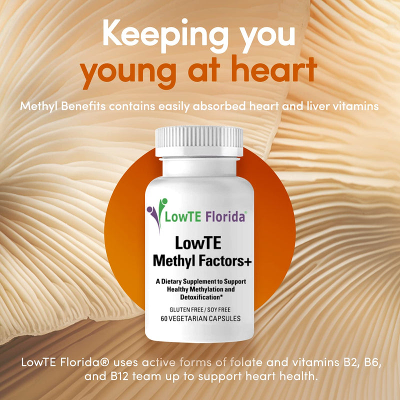 Methyl Factors + - 60 Capsules I B Vitamins, Folate & Riboflavin for Normal Heart, Liver & Brain Function*, Energizing & Mood Boosting Supplement