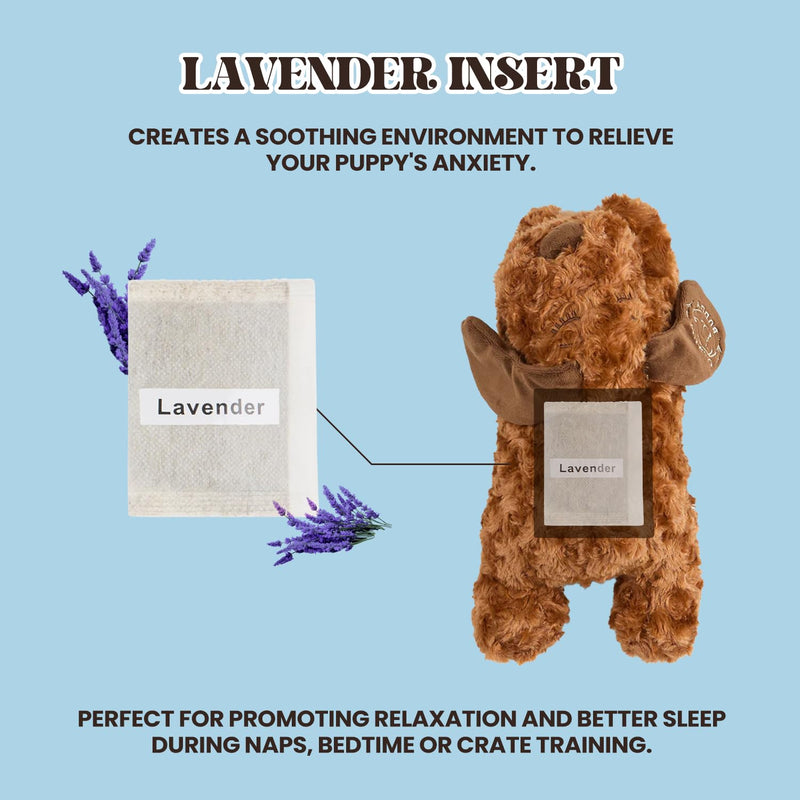 Little Buddy - Puppy Hearbeat Toy for Small Puppy, Anxiety Relief with Reusable Heat Pack and Lavender, Sleep Aid for Dogs, for Medium and Small breads (Little Buddy Kit) Little Buddy Kit