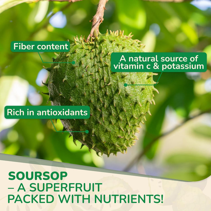 Biolore Soursop Graviola Gummies, Natural Apple Flavor, 30 Days Supply | Soursop Leaf & Fruit Extract, Sugar Free, Gluten Free, Vegan Friendly Soursop & Apple 60 Count (Pack of 1)