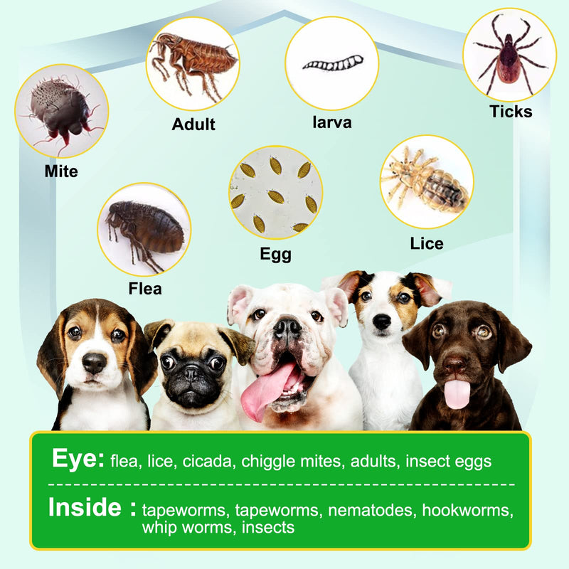 Flea and Tick Prevention for Dogs, Chews, 150 Chews, Natural Flea and Tick Supplement for Dogs, Chews - BeesActive Australia