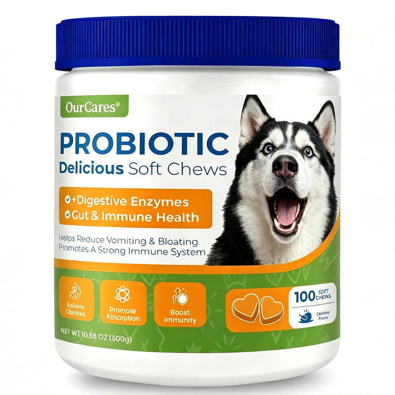 Probiotics for Dogs – Probiotic Chews with 4.8 Billion CFU, Digestive Enzymes & Pumpkin | Dog Gut Health Supplement for Diarrhea, Gas & Sensitive Stomach | Soft Chews for Senior Dogs & All Breeds Chicken 100 Chews*1