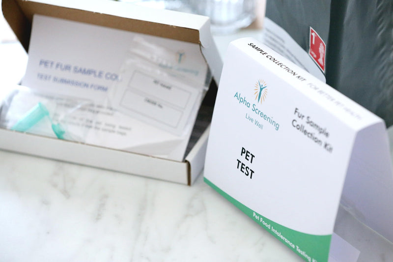 Alpha Screening Intolerance Test for Pets | Cats & Dogs | CQC Registered | 350 + tests | Results in 4-5 Days