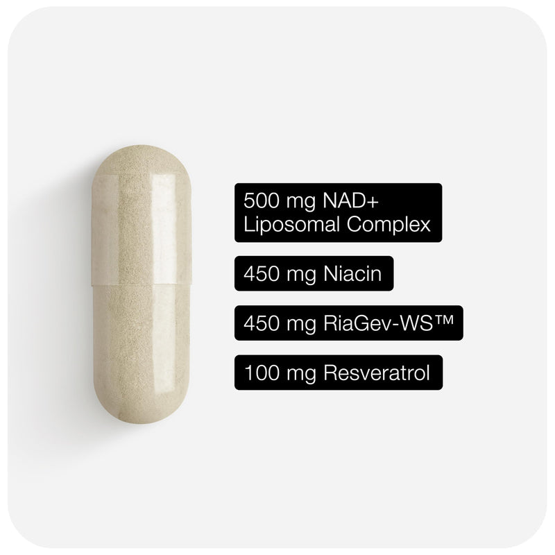 Toniiq Liposomal NAD+ and Resveratrol Supplement - 1500mg | Ultra High Strength NAD Supplement—Clinically Studied Ingredients with Patented RiaGev-WS™, Resveratrol & Niacin—60 Capsules 60 Count (Pack of 1)