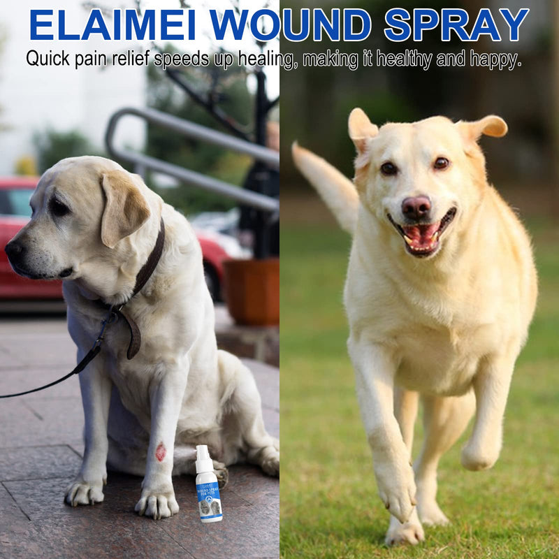 Pet Wound Care,Itch Remedies For Dogs,Antiseptic & Antifungal Spray For Itchy Dogs, Cats & Animals,Dog Yeast Infection Treatment(30ml)