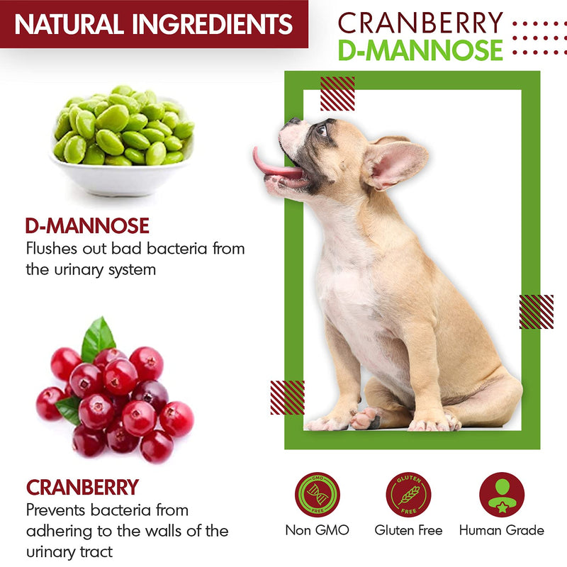 Cranberry D-Mannose for Dogs and Cats Urinary Tract Infection Support Prevents and Eliminates UTI, Bladder Infection Kidney Support, Antioxidant (Single Strength Tablet, 60 Count) Single Strength Tablet