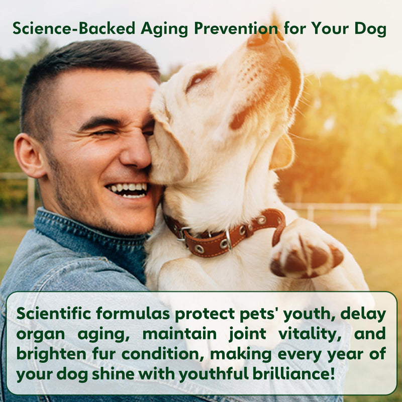 NMN Supplement for Dogs NAD+ Booster - Anti-Aging & Longevity Soft Chews for Senior Dogs with Resveratrol, CoQ10, Glucosamine & Omega-3-3-in-1 Cellular Energy, Joint & Skin Support Bacon 90Ct