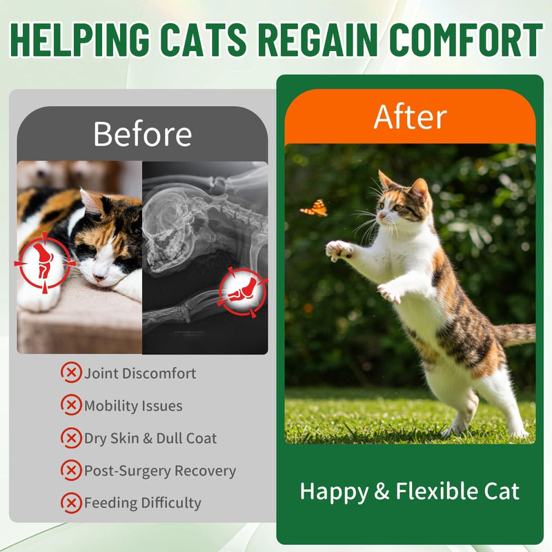 Liquid Collagen for Cats, Cat Joint Supplement for Cat with Bovine Collagens, Biotin & Vitamin C, Mobility & Flexibility, Itch Relief, Skin, Coat & Immunity Support, Cat Joint Supplement for Cats