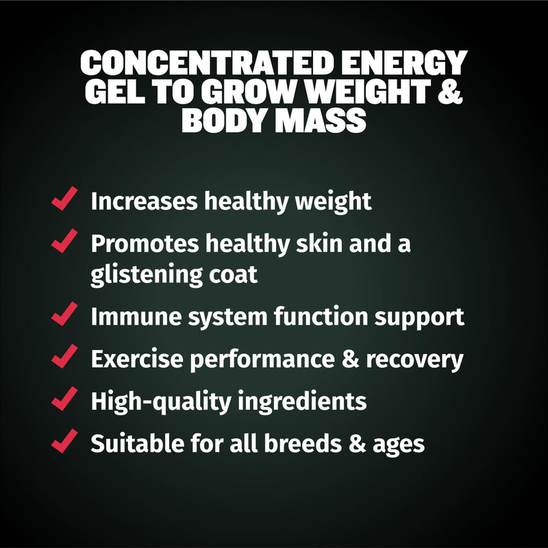 Bully Max Weight Gainer Liquid for Puppies & Adult Dogs | 2-in-1 High Calorie Multivitamin Dog Supplements & Vitamins for Weight Gain with Omega 3 & Whey Protein for All Breeds & Ages - 16 oz Bag - PawsPlanet Australia
