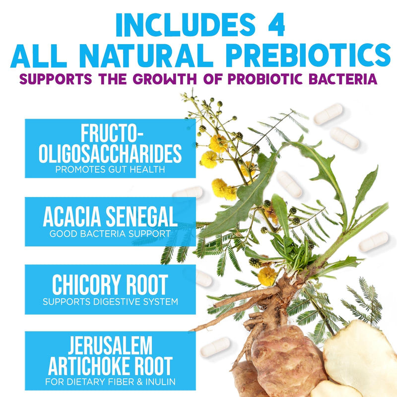 Probiotics 100 Billion CFU Per Serving - 10 Premium Strains + Prebiotics - Best Probiotic Supplement for Women & Men - Supports Immune, Digestive Health, Occasional Constipation & Gas - 60 Capsules 60 Count (Pack of 1)