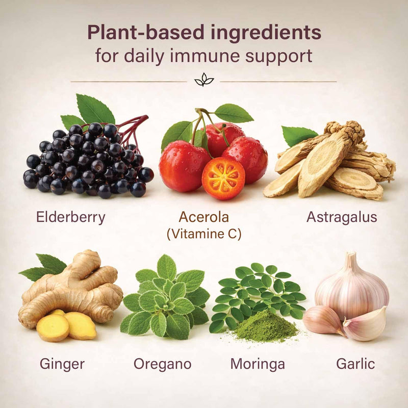 Organic Immune Complex, Elderberry, Astragalus, 60 Vegan Tablets | Certified organic moringa, ginger & oregano with elderberry, astragalus and acerola vitamin C for daily immune support